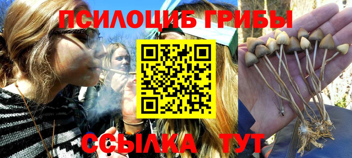 Галлюциногенные грибы мицелий  Вход с VPN  Мелеуз 